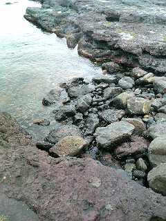 On the way to the Big Blowhole, where Greg Gunning tried to save that drowning family.