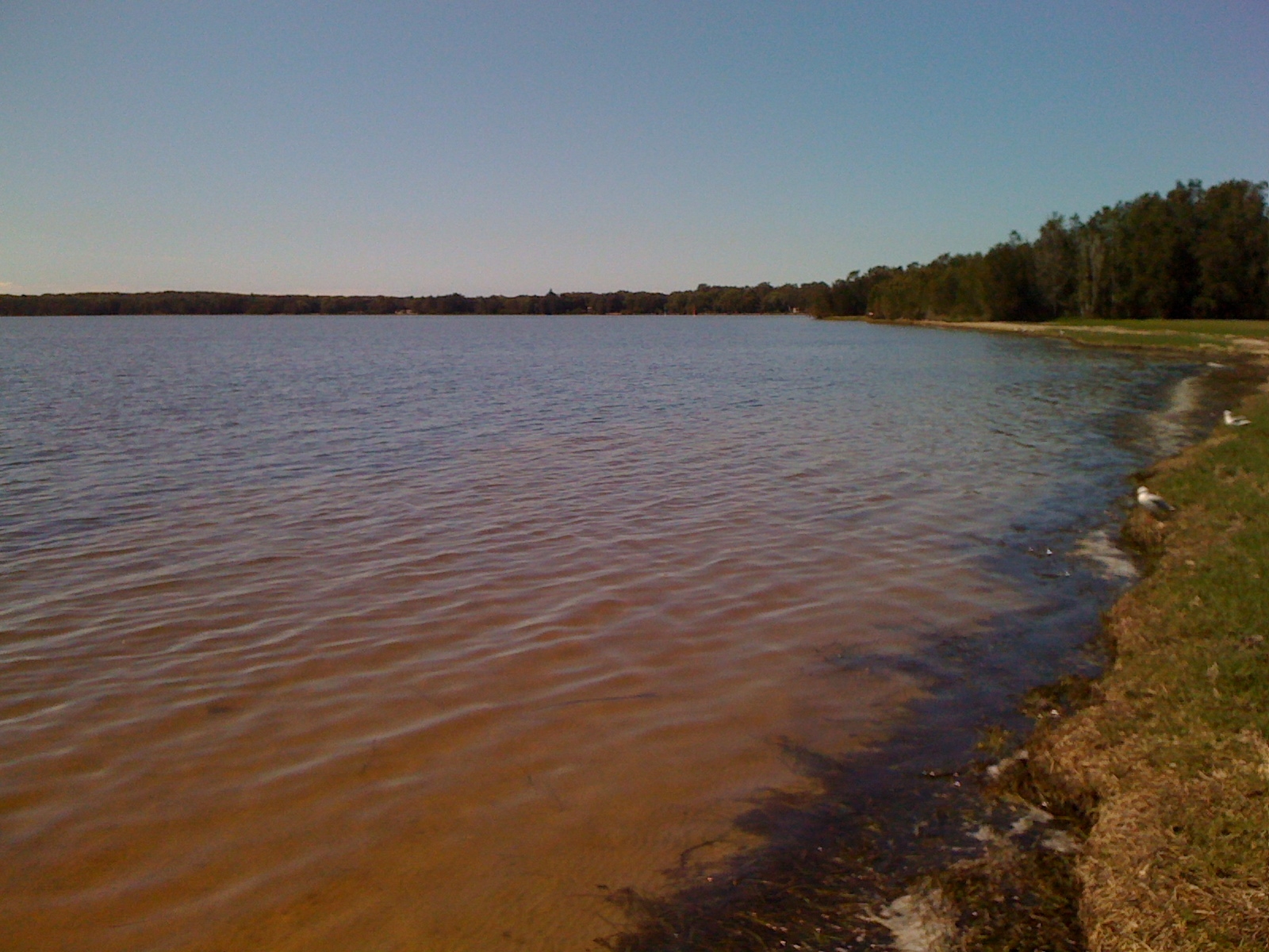 Lake Munmorah, viewed from Budgewoi.