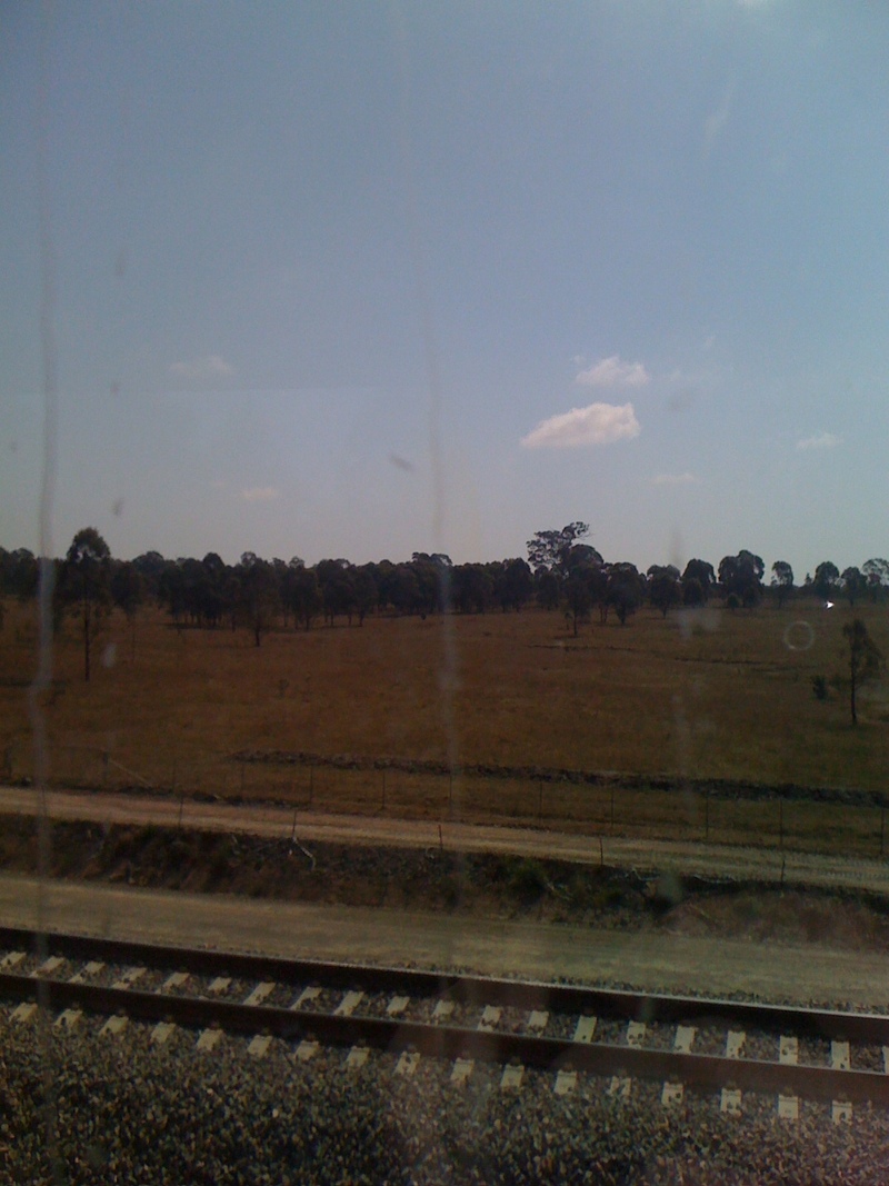 View from our XPT train, heading through the Hunter Valley, on the way to Moree for my job interview.
