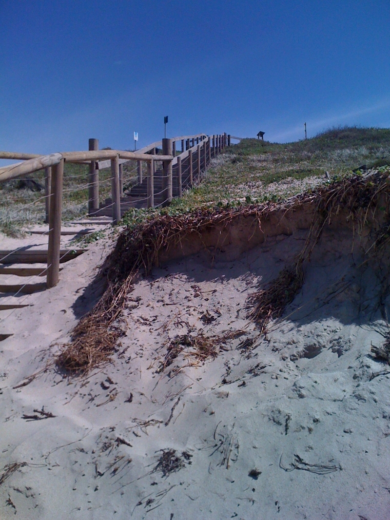 Down on the sand, past all the bidou weed, north of Sydney, on the Australian Coastal Walk!