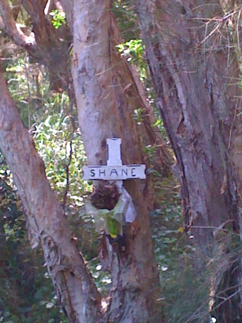 Island off Lakes Beach on the NSW Central Coast, south of Newcastle, north of Sydney, on the Australian Coastal Walk!