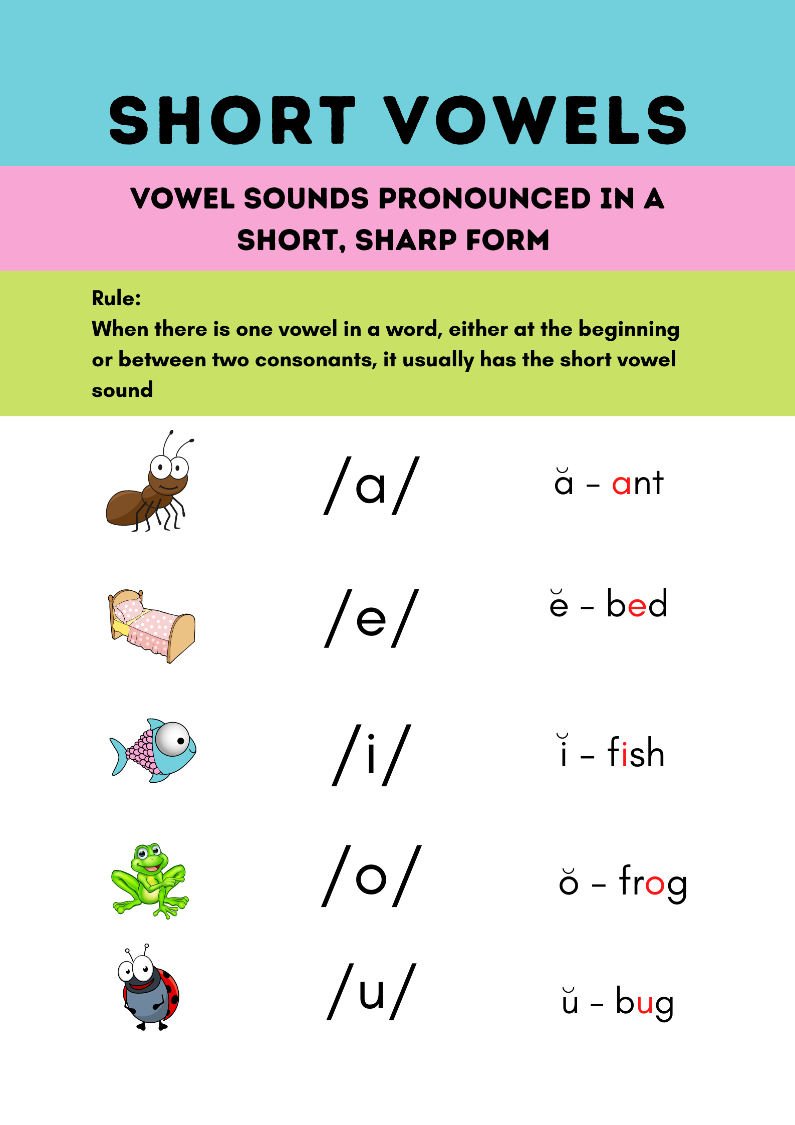 Short vowels of English