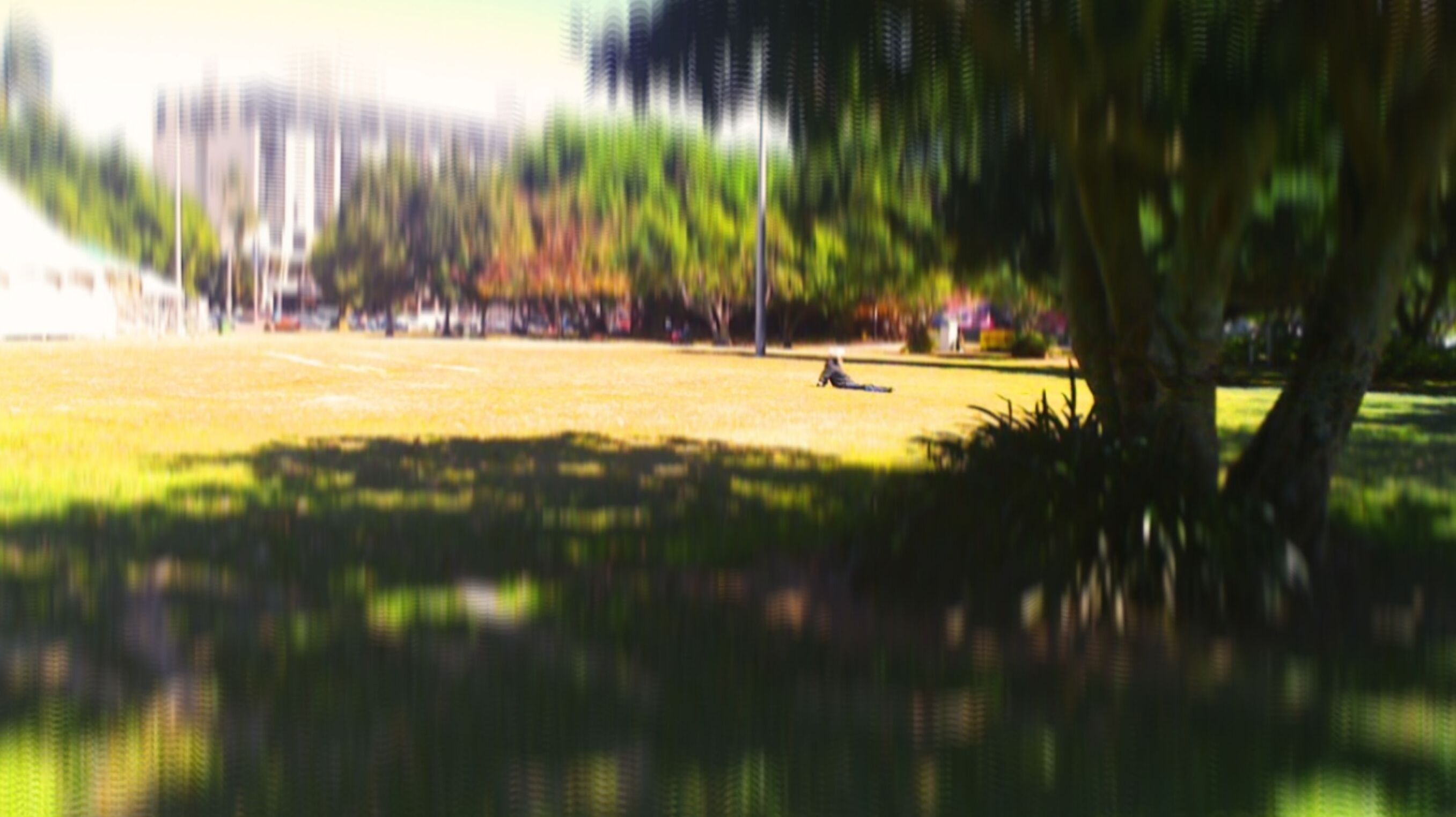 Tribal elder in a Cairns park, one hot Saturday morning, in Cairns.