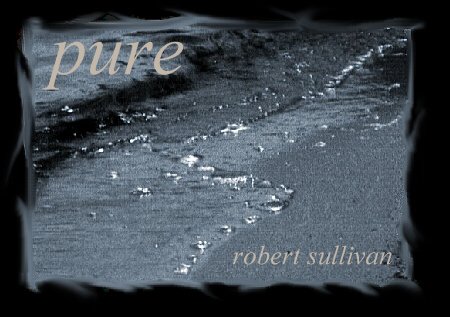 Sure is Pure!