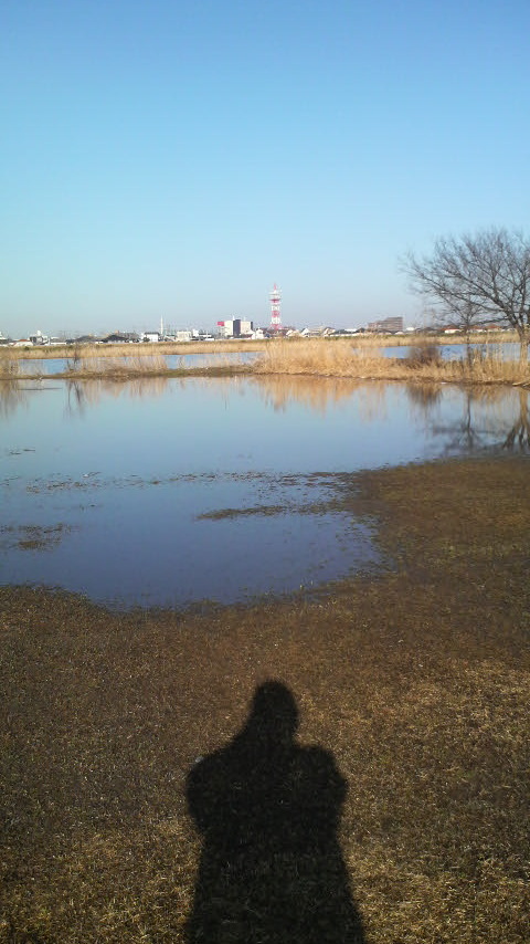 In the foreground, a strange puddle of water possibly caused by ruptured pipes underground; in the background, the mighty Edo River which seperates Tokyo from Chiba Ward