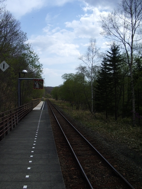 Train line through the boreal forest north of Kushiro, in Hokkaido, Japan.