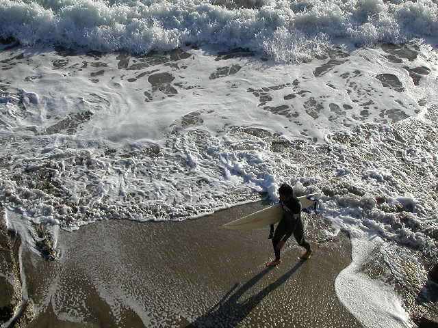 Surf patterns of the Pacific coast of Japan