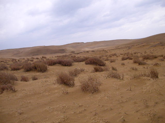 Scenery more remiscent of Iceland or Texas than verdant, green Japan