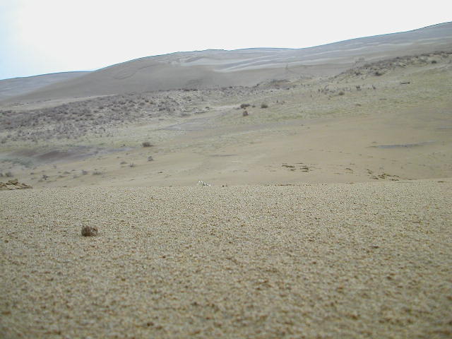 The wastelands of the Tottori Sakyu 捻u