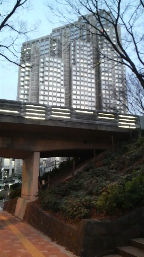 Shinjuku's Central Park, looking towards the local government district.