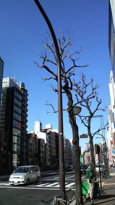 Yotsuya on a cold February morning, 2009.