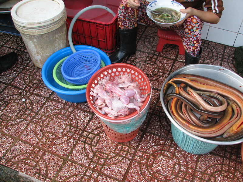 Skinned frogs and snakes for sale.